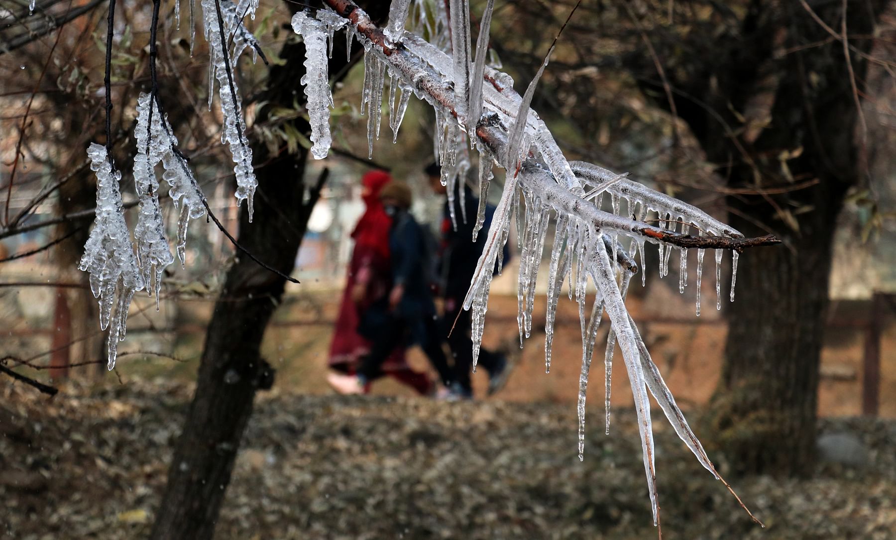 Night time temp data improve amid forecast for mild rain, snow in Kashmir