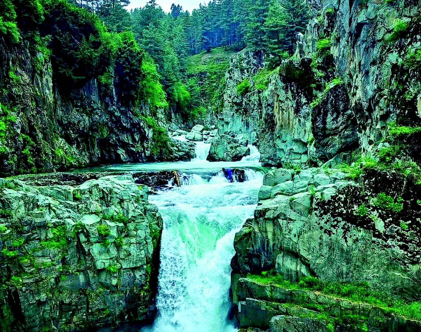 Once known as Queen of Wetlands, Hokersar in last throes Greater Kashmir