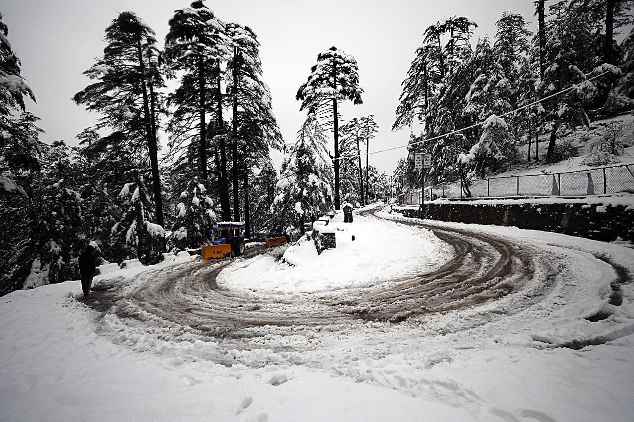 Cold wave grips Jammu amid light rainfall; higher reaches receive