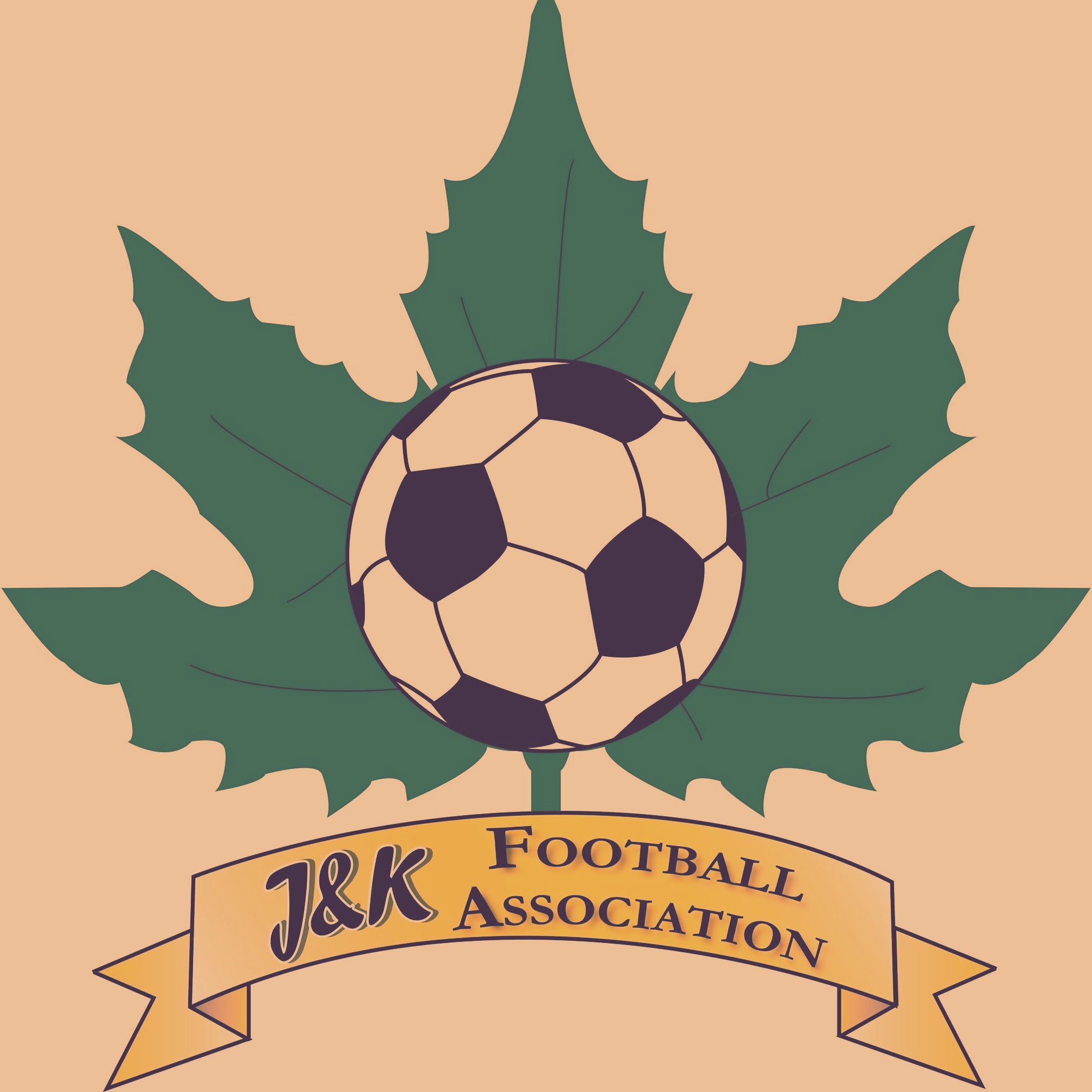 ‘Premier league matches to be played in Bakshi Stadium’ Greater Kashmir