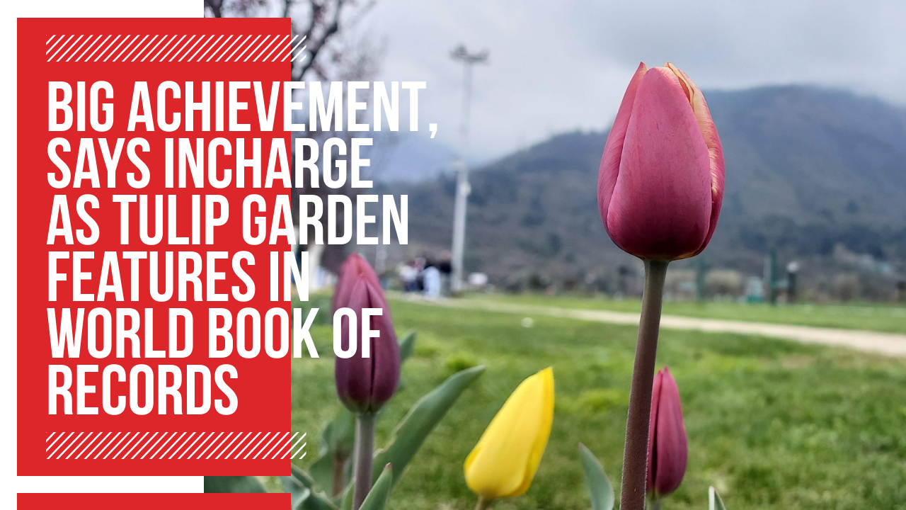 Video | Big achievement, says incharge as Tulip Garden features in ...