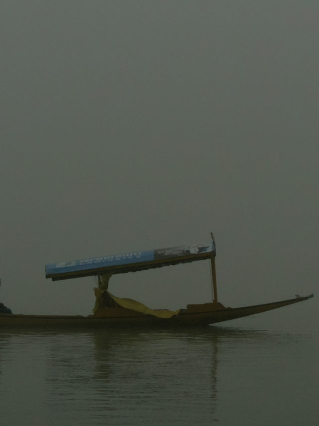 Dense Fog Blankets Srinagar