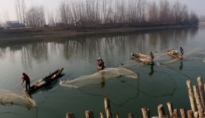 A group of Fishermen catching Fish in River jhelum at Banyari Hajin Bandipora 1