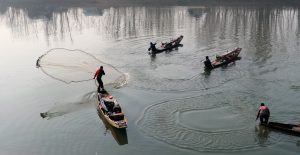 A group of Fishermen catching Fish in River jhelum at Banyari Hajin Bandipora 3