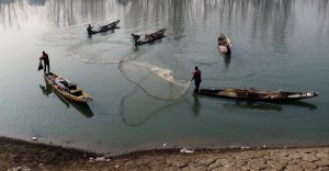 A group of Fishermen catching Fish in River jhelum at Banyari Hajin Bandipora 4